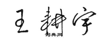 駱恆光王耕宇草書個性簽名怎么寫