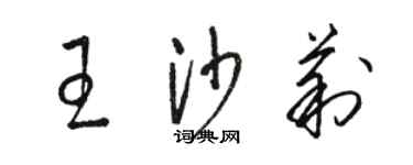 駱恆光王沙莉草書個性簽名怎么寫