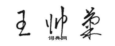 駱恆光王帥菊草書個性簽名怎么寫