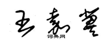 朱錫榮王嘉冀草書個性簽名怎么寫