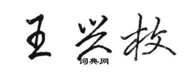 駱恆光王興枚行書個性簽名怎么寫