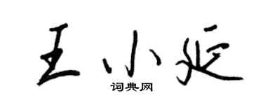 王正良王小延行書個性簽名怎么寫