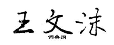 曾慶福王文沫行書個性簽名怎么寫