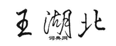 駱恆光王湖北行書個性簽名怎么寫