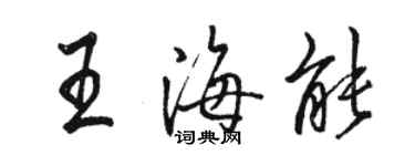 駱恆光王海能行書個性簽名怎么寫