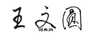 駱恆光王文圓行書個性簽名怎么寫