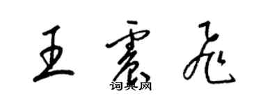 梁錦英王震飛草書個性簽名怎么寫