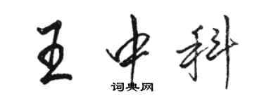 駱恆光王中科行書個性簽名怎么寫