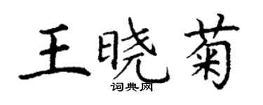 丁謙王曉菊楷書個性簽名怎么寫
