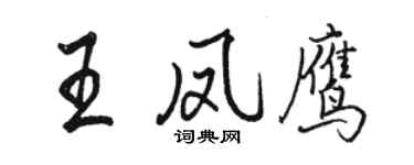 駱恆光王鳳鷹行書個性簽名怎么寫