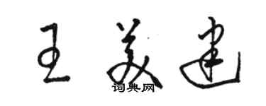 駱恆光王美建草書個性簽名怎么寫