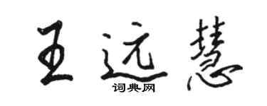 駱恆光王遠慧行書個性簽名怎么寫