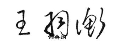 駱恆光王羽衡草書個性簽名怎么寫