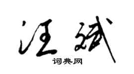 梁錦英汪斌草書個性簽名怎么寫