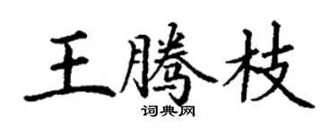 丁謙王騰枝楷書個性簽名怎么寫