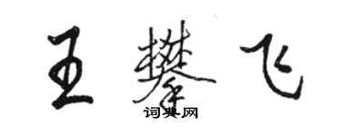 駱恆光王攀飛行書個性簽名怎么寫