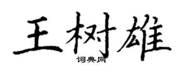 丁謙王樹雄楷書個性簽名怎么寫