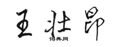 駱恆光王壯昂行書個性簽名怎么寫