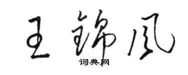 駱恆光王錦風草書個性簽名怎么寫