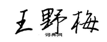 王正良王野梅行書個性簽名怎么寫