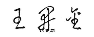 駱恆光王開金草書個性簽名怎么寫