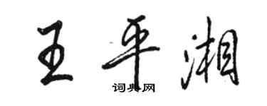 駱恆光王平湘行書個性簽名怎么寫