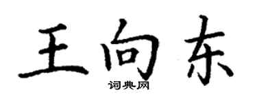 丁謙王向東楷書個性簽名怎么寫