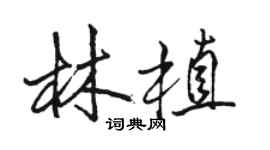 駱恆光林植行書個性簽名怎么寫