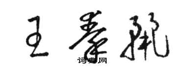 駱恆光王秦麗草書個性簽名怎么寫