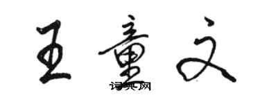 駱恆光王童文行書個性簽名怎么寫