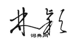 駱恆光林穎草書個性簽名怎么寫