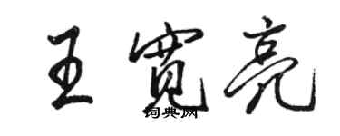 駱恆光王寬亮行書個性簽名怎么寫