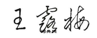 駱恆光王露梅草書個性簽名怎么寫