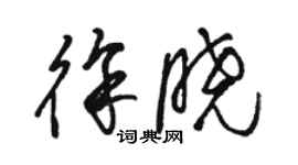 駱恆光徐曉草書個性簽名怎么寫