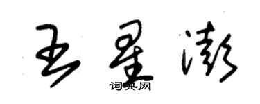 朱錫榮王星澎草書個性簽名怎么寫