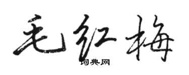 駱恆光毛紅梅行書個性簽名怎么寫
