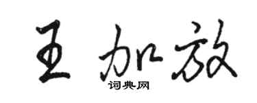駱恆光王加放行書個性簽名怎么寫
