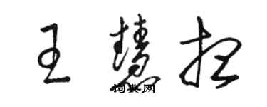 駱恆光王慧想草書個性簽名怎么寫