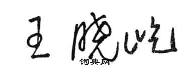 駱恆光王曉屹草書個性簽名怎么寫