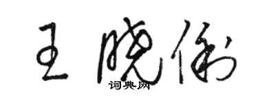 駱恆光王曉俐草書個性簽名怎么寫