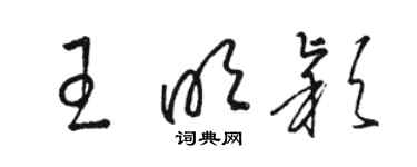 駱恆光王明穎草書個性簽名怎么寫