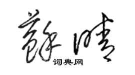 駱恆光蘇晴草書個性簽名怎么寫