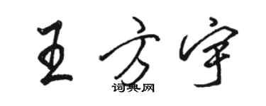 駱恆光王方宇行書個性簽名怎么寫