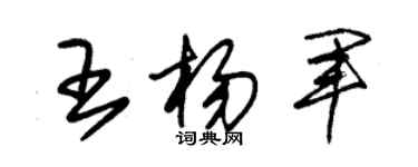 朱錫榮王楊軍草書個性簽名怎么寫