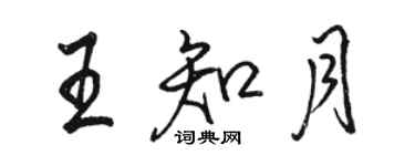 駱恆光王知月行書個性簽名怎么寫