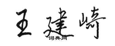 駱恆光王建崎行書個性簽名怎么寫