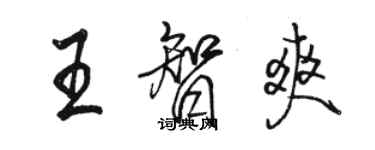 駱恆光王智爽行書個性簽名怎么寫