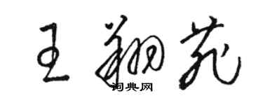 駱恆光王翔菲草書個性簽名怎么寫