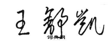 駱恆光王舒凱草書個性簽名怎么寫