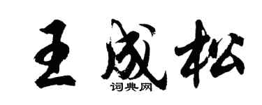 胡問遂王成松行書個性簽名怎么寫